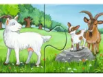 9 Puzzles - Tierfamilien auf dem Bauernhof
