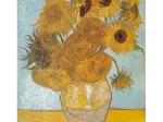 Van Gogh: Sonnenblumen