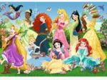Disney Princess