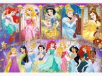 Disney Princess