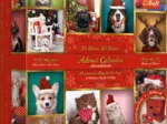 Adventskalender Tiere