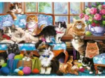 Cat Family