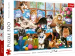Cat Family