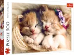 Sleeping kittens